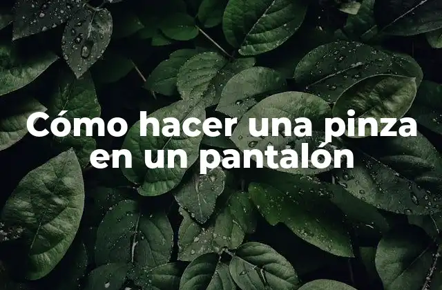 Cómo Hacer una Pinza en un Pantalón