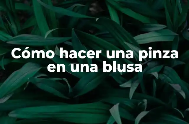 Cómo Hacer una Pinza en una Blusa