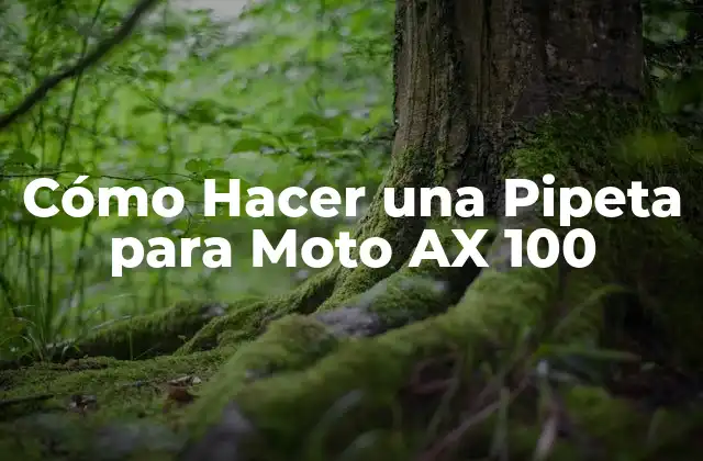 Cómo Hacer una Pipeta para Moto Ax 100