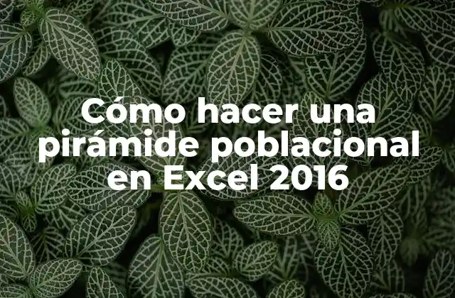 Cómo Hacer una Pirámide Poblacional en Excel 2016