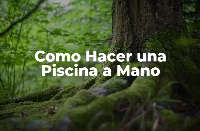 Como Hacer una Piscina a Mano