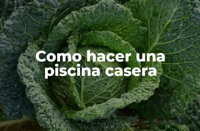 Como Hacer una Piscina Casera