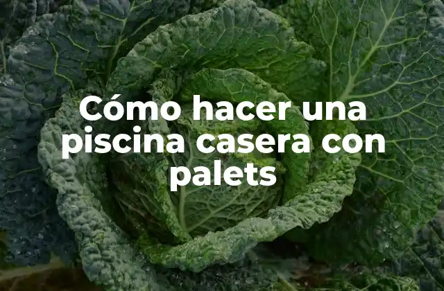 Cómo Hacer una Piscina Casera con Palets