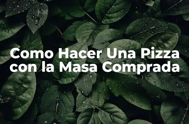 ¿Qué Es la Masa Comprada y Cómo Se Usa?