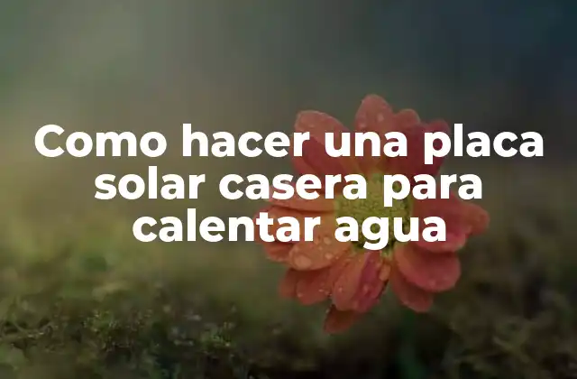 Como Hacer una Placa Solar Casera para Calentar Agua