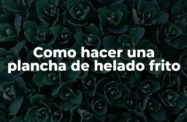 Como Hacer una Plancha de Helado Frito