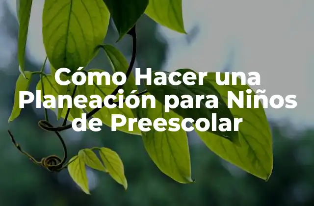 Cómo Hacer una Planeación para Niños de Preescolar 2 Cómo Hacer una Planeación para Niños de Preescolar