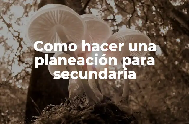 Como Hacer una Planeación para Secundaria