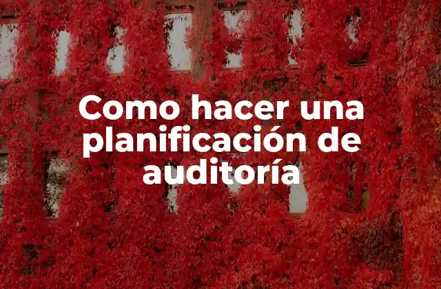 Como Hacer una Planificación de Auditoría