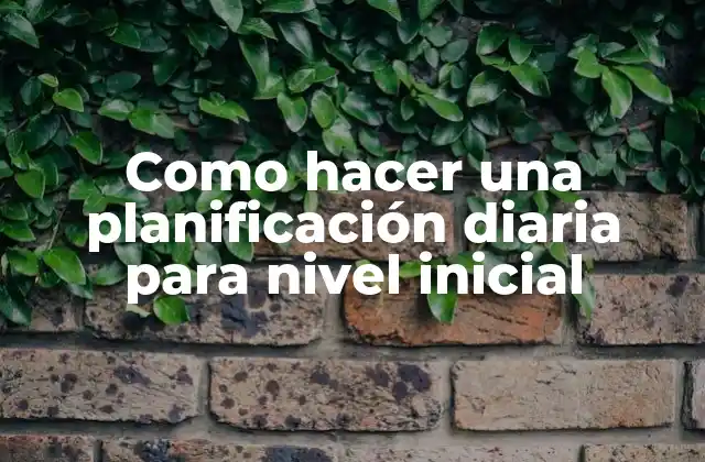Como Hacer una Planificación Diaria para Nivel Inicial