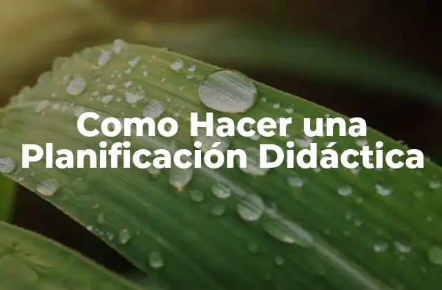 Como Hacer una Planificación Didáctica
