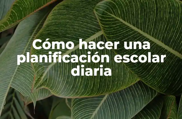 Cómo Hacer una Planificación Escolar Diaria