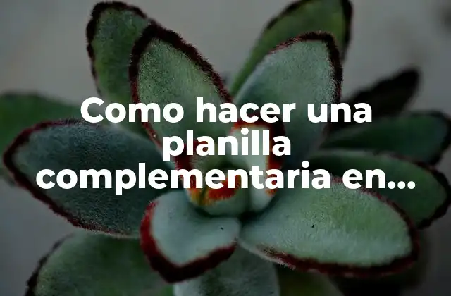 Como Hacer una Planilla Complementaria en Sipe