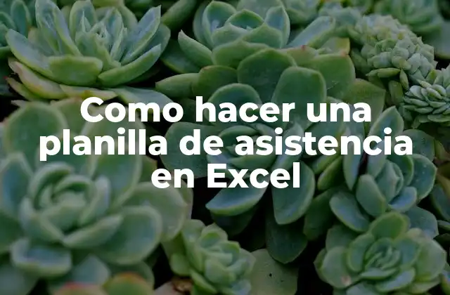 Como Hacer una Planilla de Asistencia en Excel