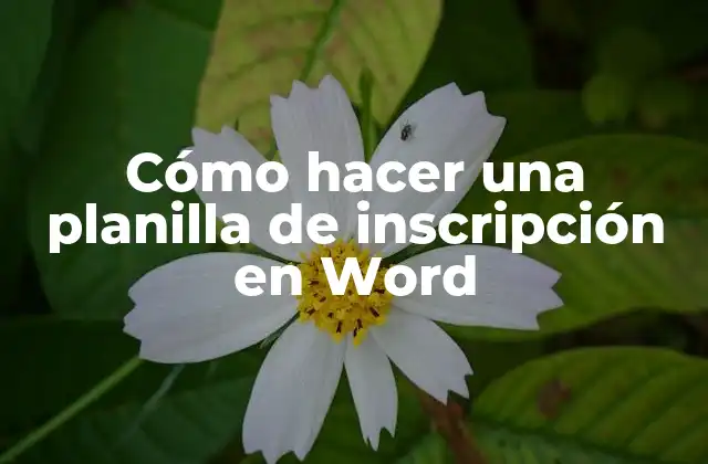 Cómo Hacer una Planilla de Inscripción en Word