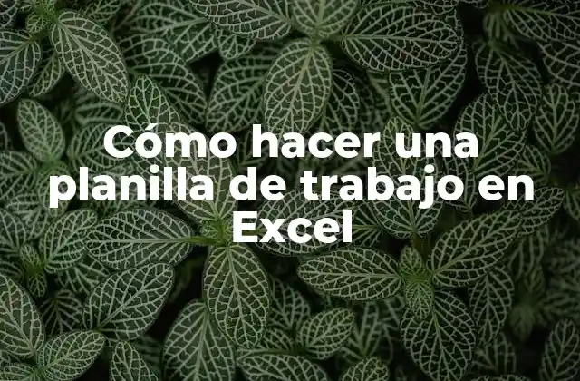 Cómo Hacer una Planilla de Trabajo en Excel