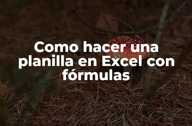 Como Hacer una Planilla en Excel con Fórmulas