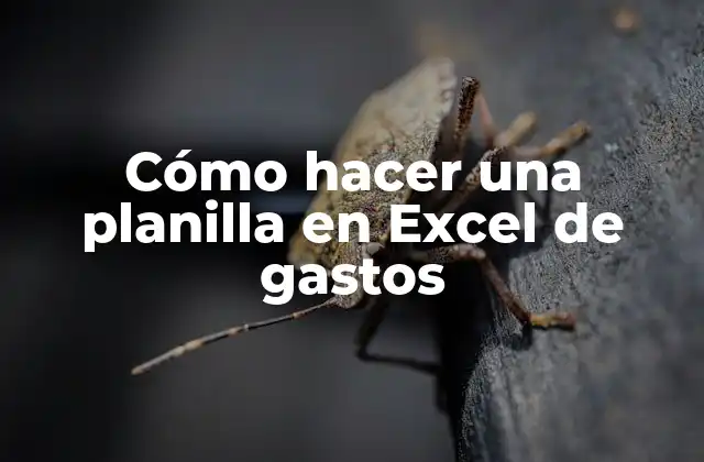 Cómo Hacer una Planilla en Excel de Gastos