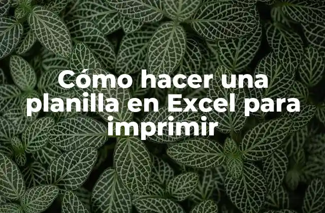 Cómo Hacer una Planilla en Excel para Imprimir