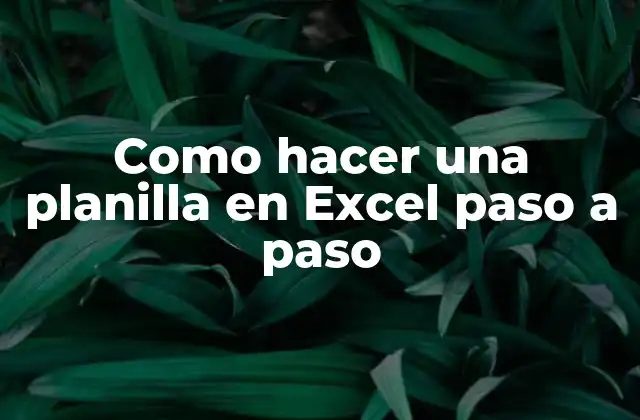 Como Hacer una Planilla en Excel Paso a Paso