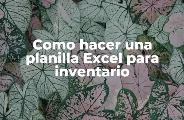 Como Hacer una Planilla Excel para Inventario
