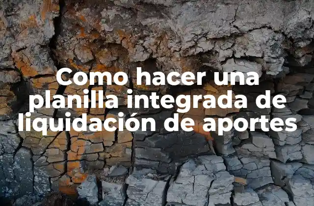 Qué es una planilla integrada de liquidación de aportes