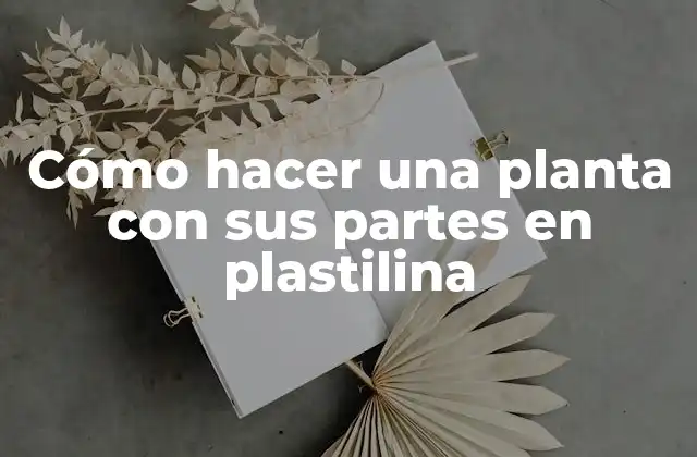 Cómo Hacer una Planta con Sus Partes en Plastilina 2 Cómo hacer una planta con sus partes en plastilina