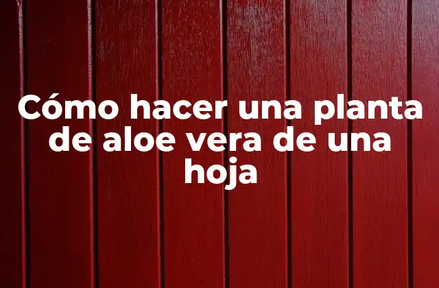 Cómo Hacer una Planta de Aloe Vera de una Hoja