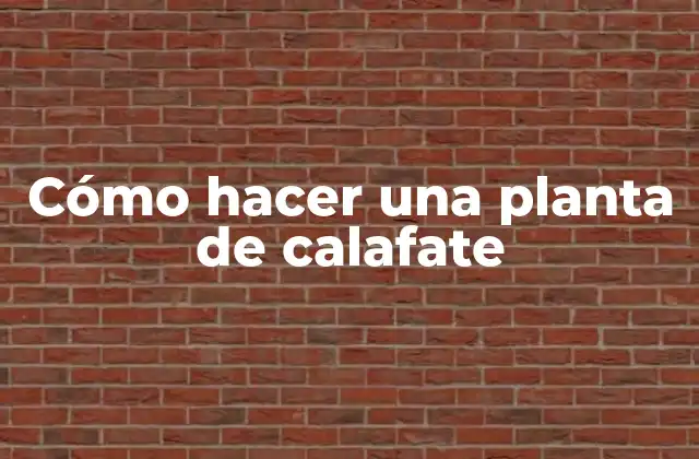 Cómo Hacer una Planta de Calafate