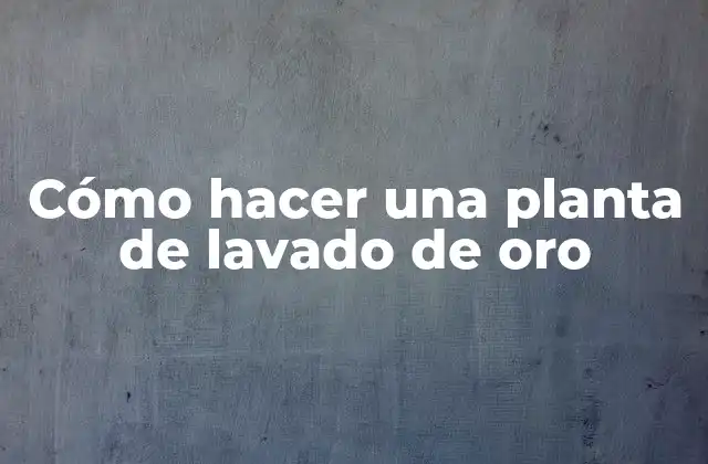Cómo hacer una planta de lavado de oro