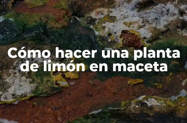 Cómo Hacer una Planta de Limón en Maceta