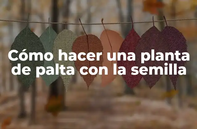 Cómo Hacer una Planta de Palta con la Semilla 2 ¿Qué es una planta de palta?