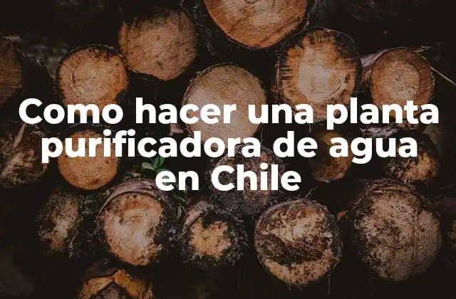 Como Hacer una Planta Purificadora de Agua en Chile