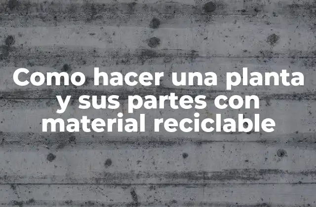Como Hacer una Planta y Sus Partes con Material Reciclable