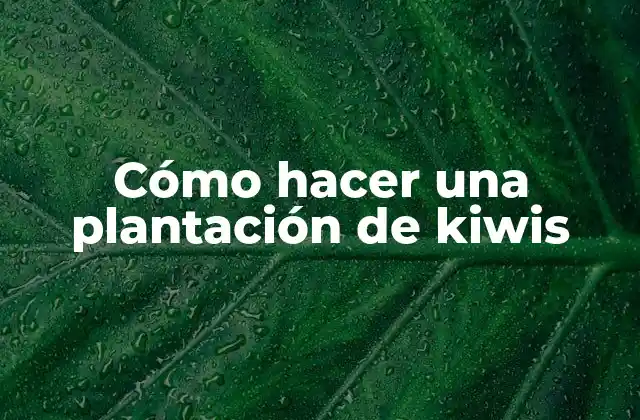 Cómo Hacer una Plantación de Kiwis