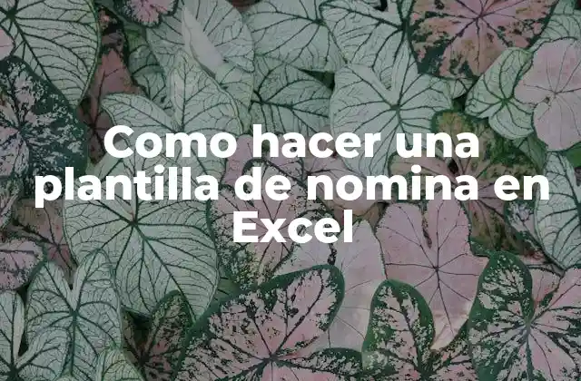 Como Hacer una Plantilla de Nomina en Excel