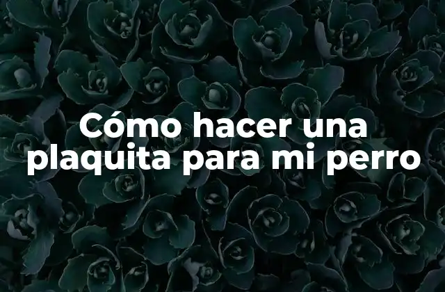 Cómo Hacer una Plaquita para Mi Perro