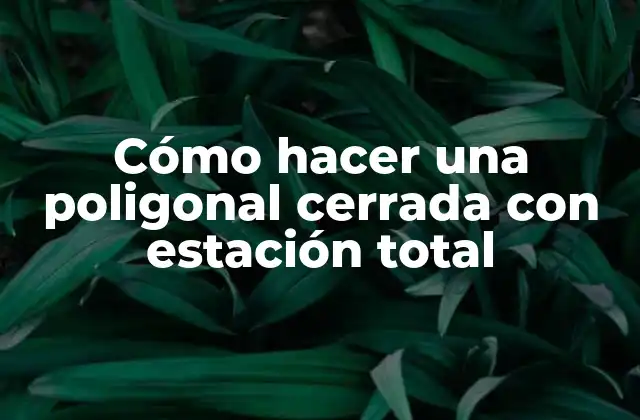Cómo Hacer una Poligonal Cerrada con Estación Total