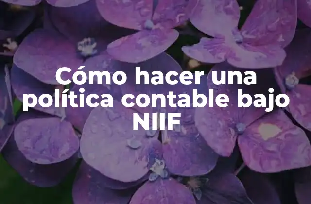 Cómo Hacer una Política Contable bajo Niif