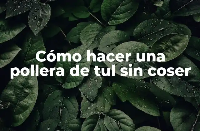 Cómo Hacer una Pollera de Tul sin Coser