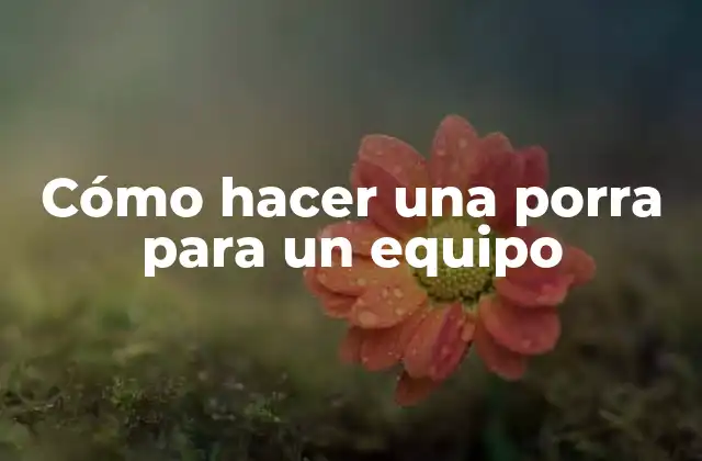 Cómo Hacer una Porra para un Equipo