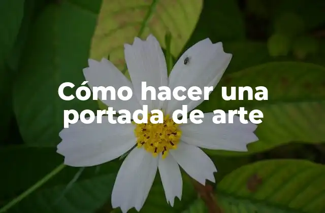 Cómo Hacer una Portada de Arte