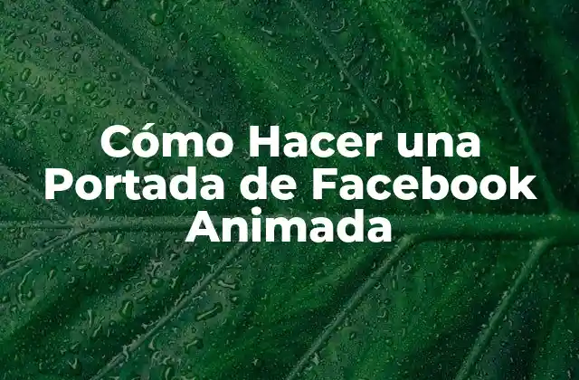 ¿Qué es una Portada de Facebook Animada y para Qué Sirve?
