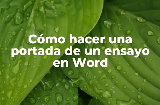 Cómo Hacer una Portada de un Ensayo en Word