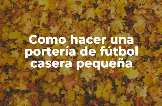 ¿Qué es una portería de fútbol casera pequeña?