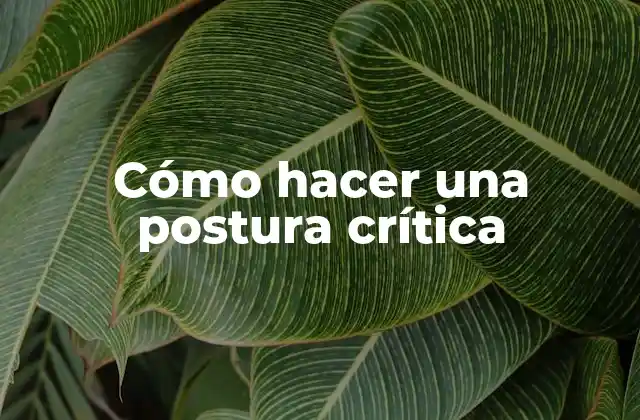 Cómo Hacer una Postura Crítica