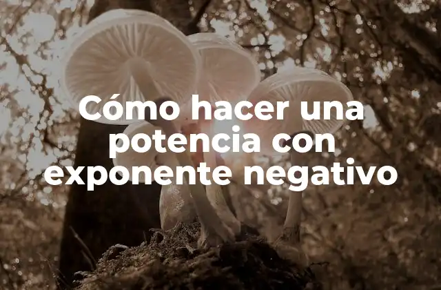 Cómo Hacer una Potencia con Exponente Negativo