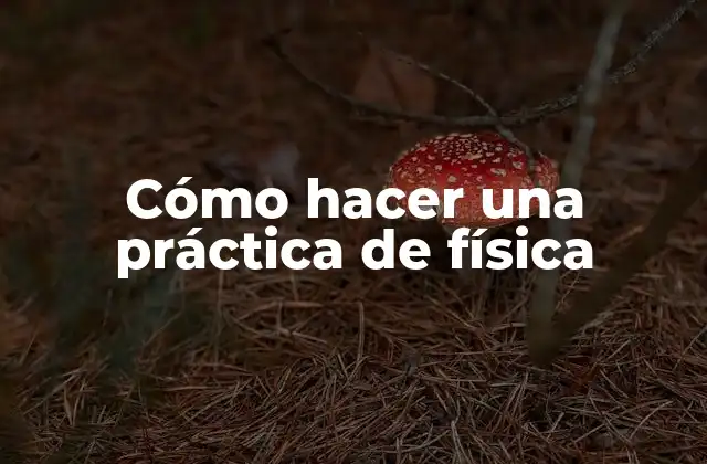 Cómo Hacer una Práctica de Física