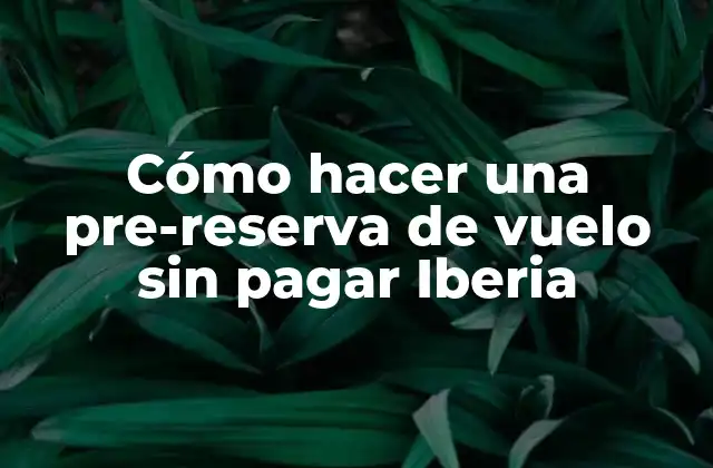 Cómo Hacer una Pre-reserva de Vuelo sin Pagar Iberia 2 ¿Qué es una pre-reserva de vuelo sin pagar Iberia?