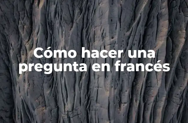 Cómo hacer una pregunta en francés